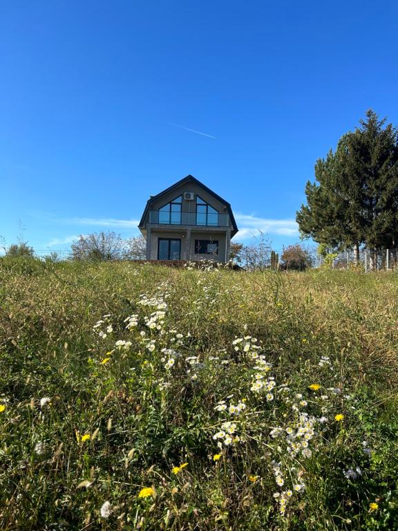 een huis op een heuvel met een bloemenveld bij Fruska Gora Villa Medici in Irig