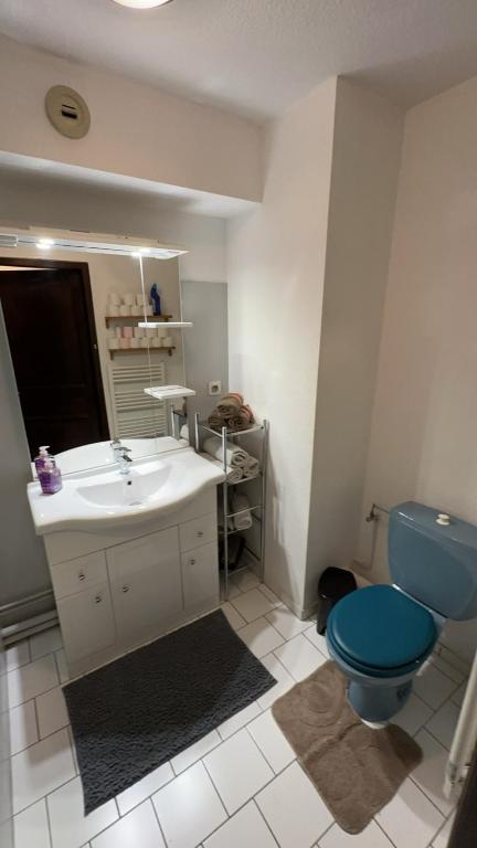 F2 Florival 45m2, avec terrasse, route du vin et free parking – photo 14
