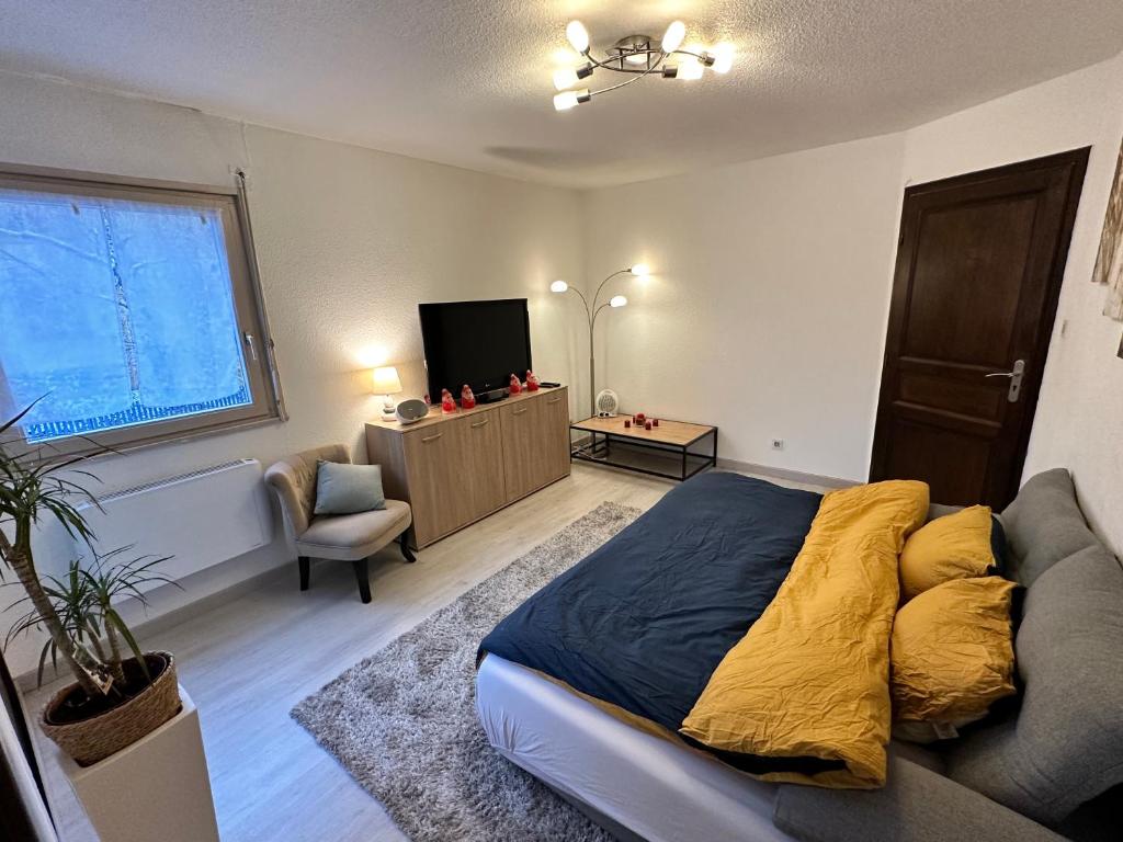 F2 Florival 45m2, avec terrasse, route du vin et free parking – photo 16