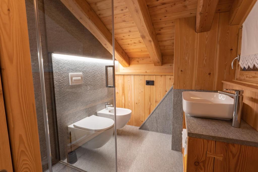 La salle de bains est pourvue de toilettes, d'un lavabo et d'une douche. dans l'établissement Maroc Mountain Chalet, à Madonna di Campiglio