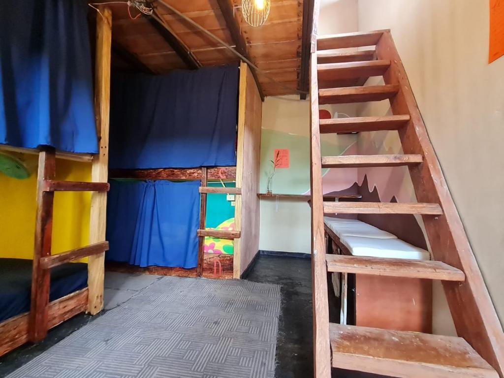 a room with two bunk beds and a ladder at SASY Dorm in Santa Catalina