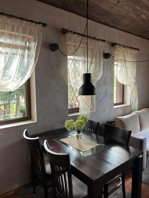 a dining room table with chairs and a black lamp at Chepelare Holiday Guest House in Chepelare