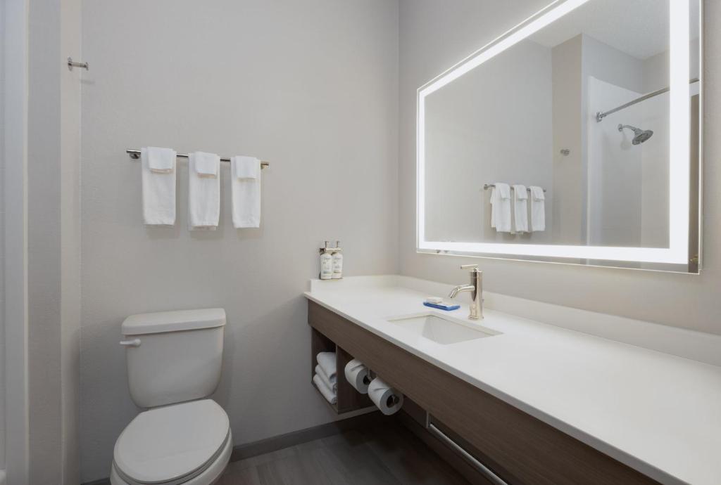 Holiday Inn Express & Suites Acworth - Kennesaw Northwest by IHG - Habitación Estándar King