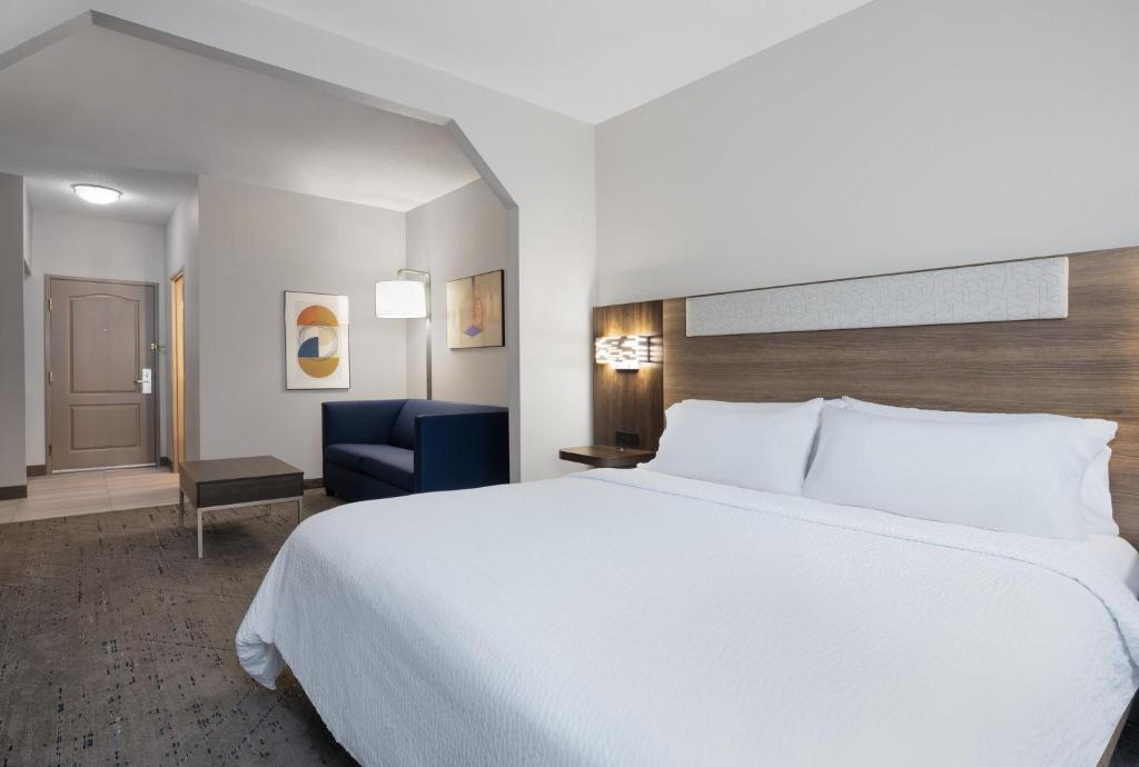 Holiday Inn Express & Suites Acworth - Kennesaw Northwest by IHG - Standaard King Kamer Met Slaapbank