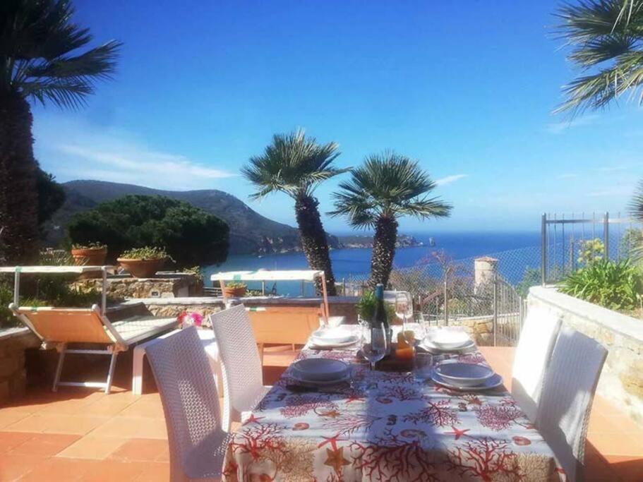 une table avec des palmiers sur une terrasse avec l'océan dans l'établissement Giglio Verde 2, à Isola del Giglio