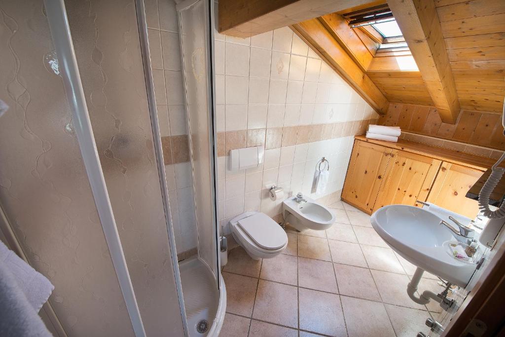 łazienka z prysznicem, toaletą i umywalką w obiekcie Hotel Gallo Cedrone w mieście Valdisotto