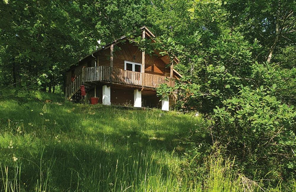 a log cabin on a hill in a field at Camping des Bastides in Salles