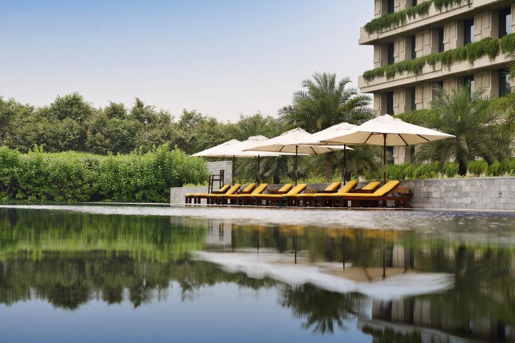 un grupo de sillas y sombrillas junto a una masa de agua en The Oberoi Gurgaon, en Gurgaon