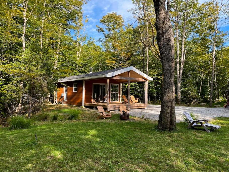 eine Hütte im Wald mit einer Bank und einem Baum in der Unterkunft Owl Cabin - Cozy Forest Retreat nearby Lake in East Kemptville