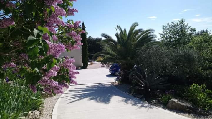 a sidewalk with purple flowers and a palm tree at B&B La Boissière Et Le Vialat in Montagnac