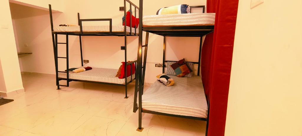 Palanda nebo palandy na pokoji v ubytování Mitra Hostel Vagator