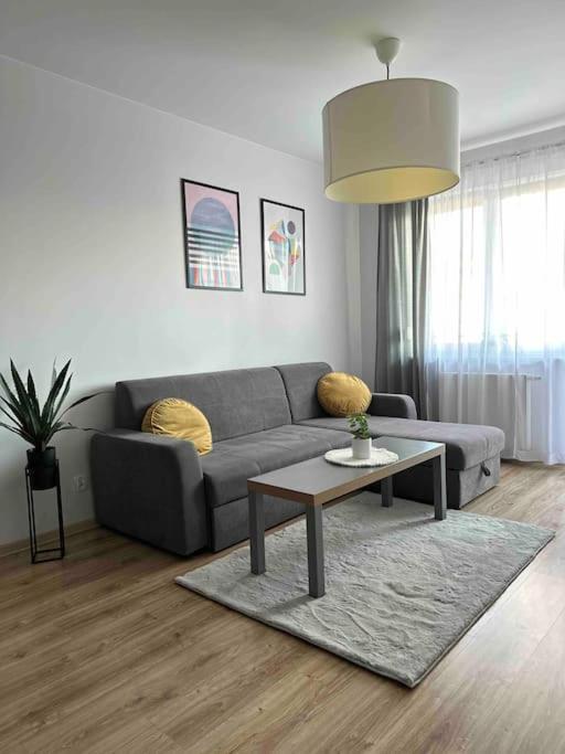 uma sala de estar com um sofá e uma mesa de centro em ApartBroniewskiego em Toruń