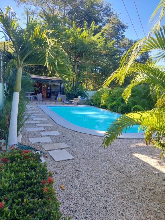 a swimming pool in a garden with a palm tree at Hotel Casa Carlota Tamarindo in Tamarindo