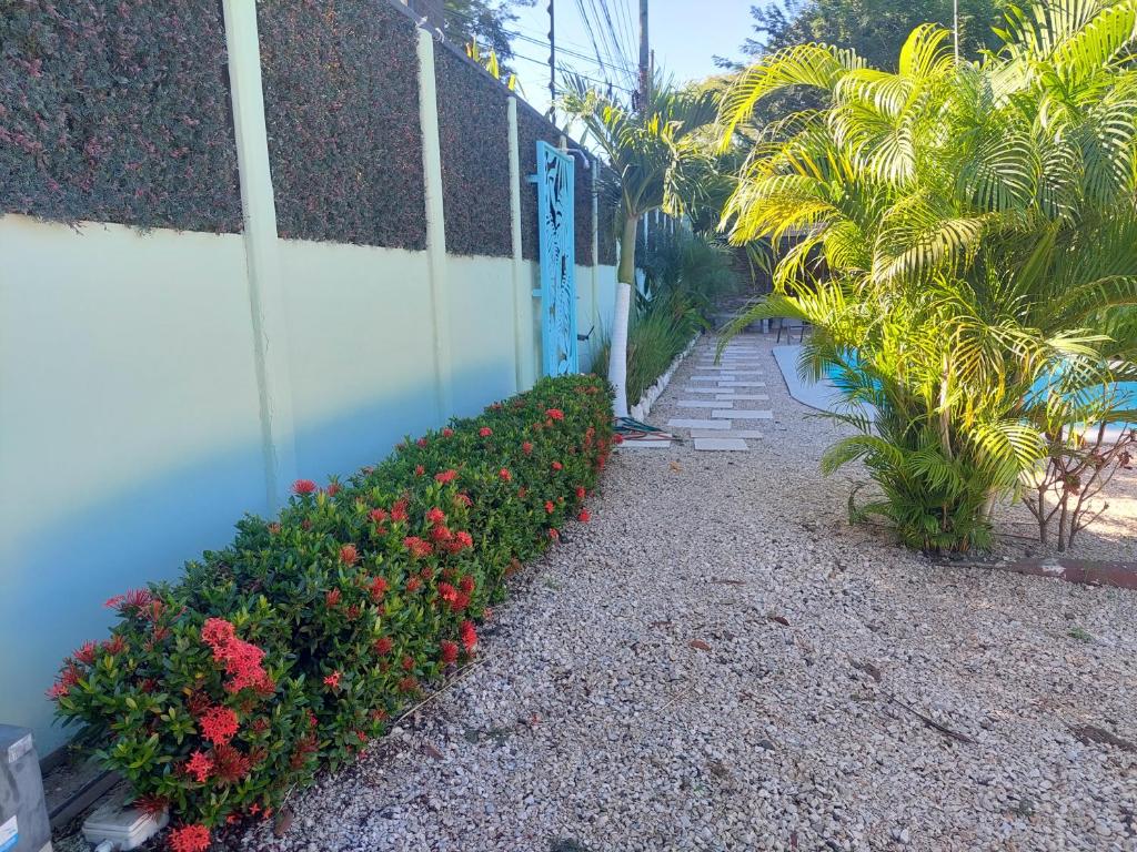Zahrada ubytování Hotel Carlota Tamarindo