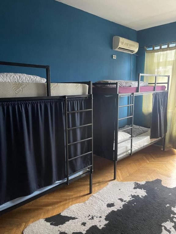 two bunk beds in a room with a blue wall at NEWBORN CENTER hostel in Pristina