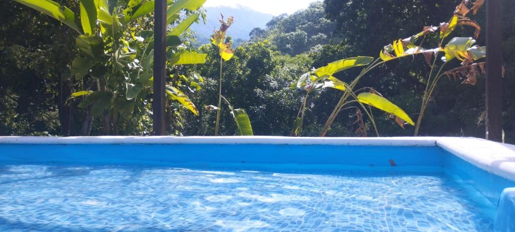 a swimming pool with trees in the background at Cabaña Minca sierra nevada in Santa Marta