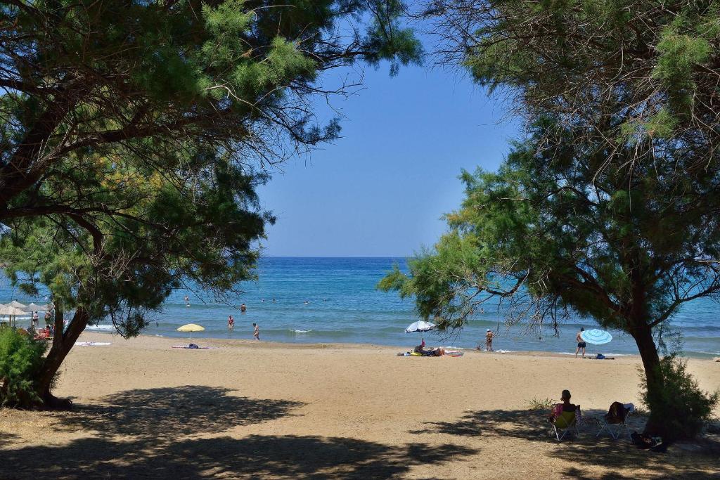 Táj Show holiday homes közelében