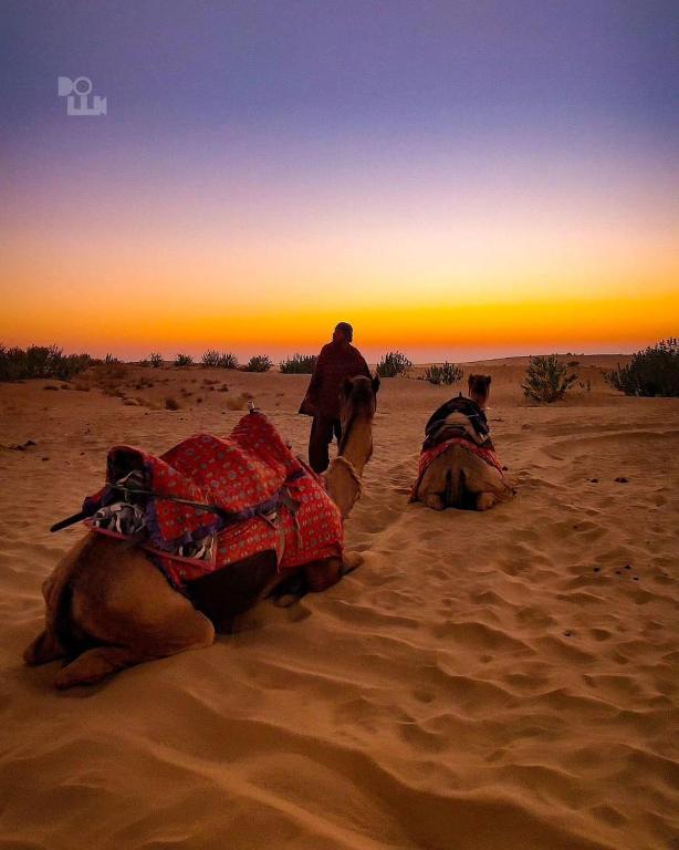 Ospiti di Mirvana Guest House & Camel safari