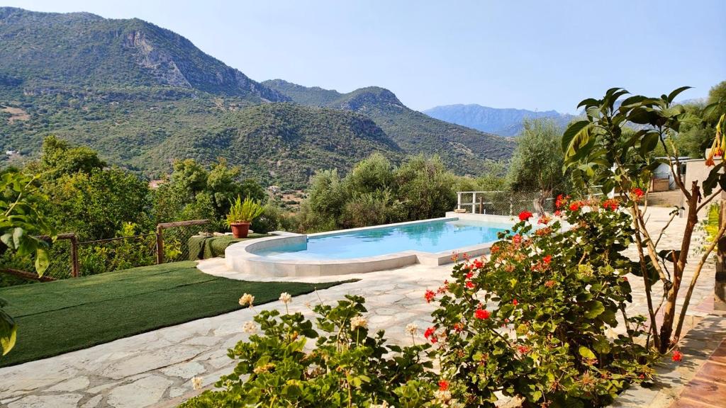 a swimming pool in a yard with mountains in the background at Vivienda Turística El Acebuchal in Ubrique