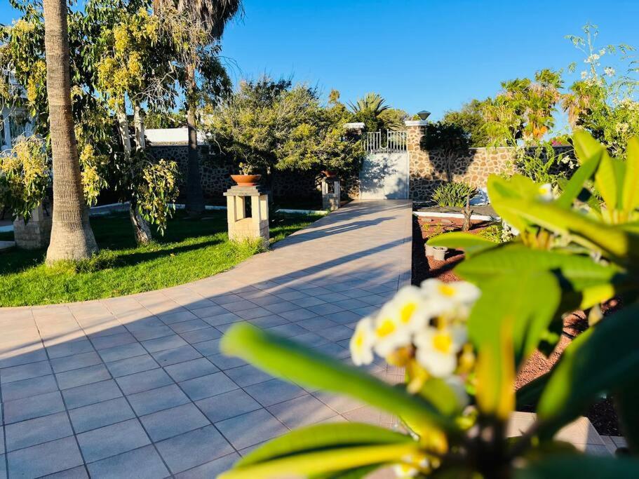 a walkway with a tree and flowers in a park at Kishni, peaceful and luxury suite villa in Arrecife