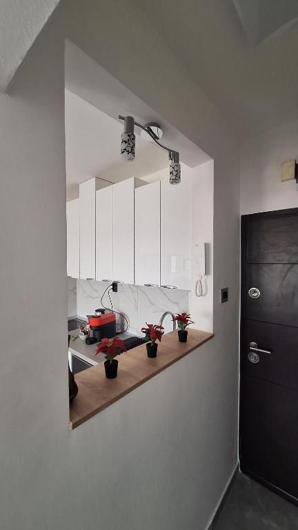 Kuchyň nebo kuchyňský kout v ubytování Apartman u Zemunu