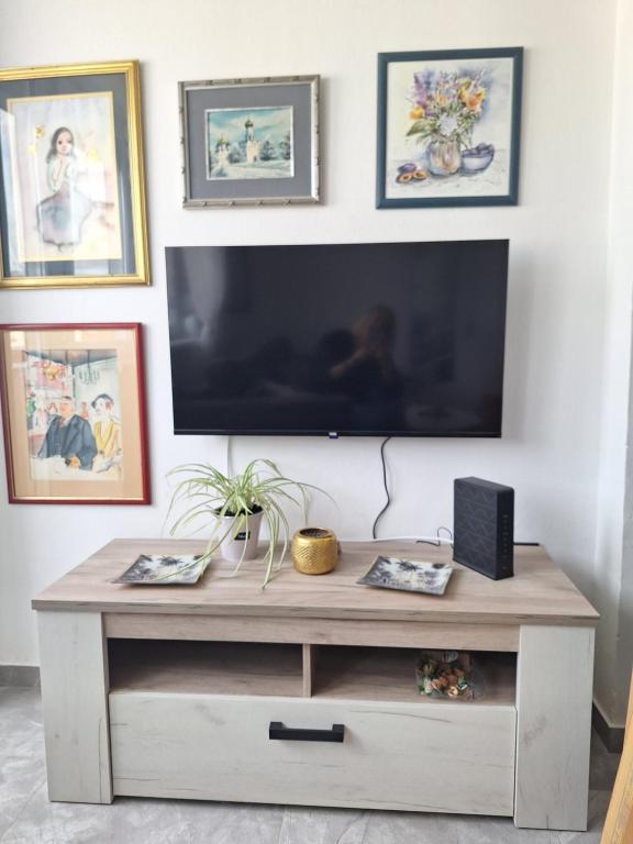 TV a/nebo společenská místnost v ubytování Apartman u Zemunu