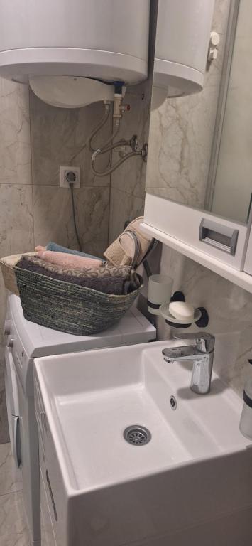 Koupelna v ubytování Apartman u Zemunu