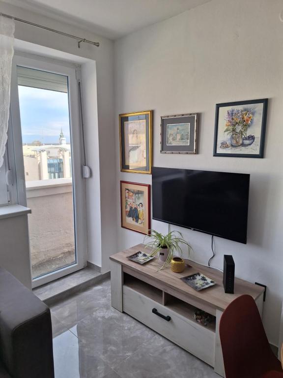 TV a/nebo společenská místnost v ubytování Apartman u Zemunu