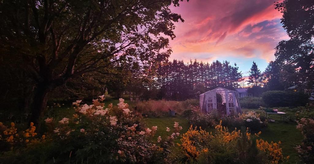 Garður fyrir utan Gîte Aux Jardins De L'Anse