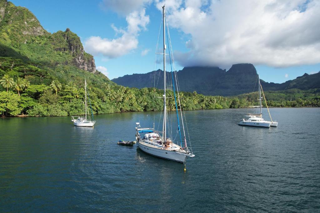 trois bateaux dans une rivière avec des montagnes en arrière-plan dans l'établissement 2 nuits insolites & 1 excursion voile à bord du voilier Mori Ora, à Orufara