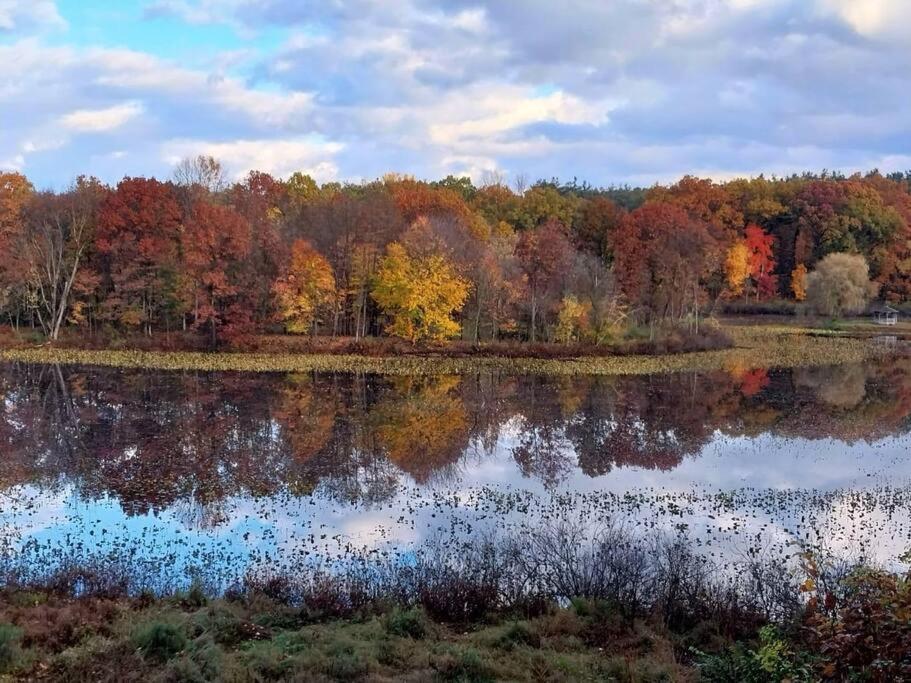 a lake in the middle of a forest with colorful trees at Smitten in da Mitten - 18 acres, Arcades, High Spd Web, Hot Tub, Pond! in Berrien Springs
