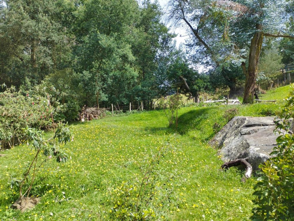 Aed väljaspool majutusasutust Chalet Guata & Exclusividad & Ubicación estratégica