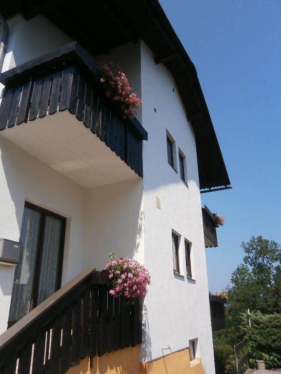 The building in which a panziókat is located