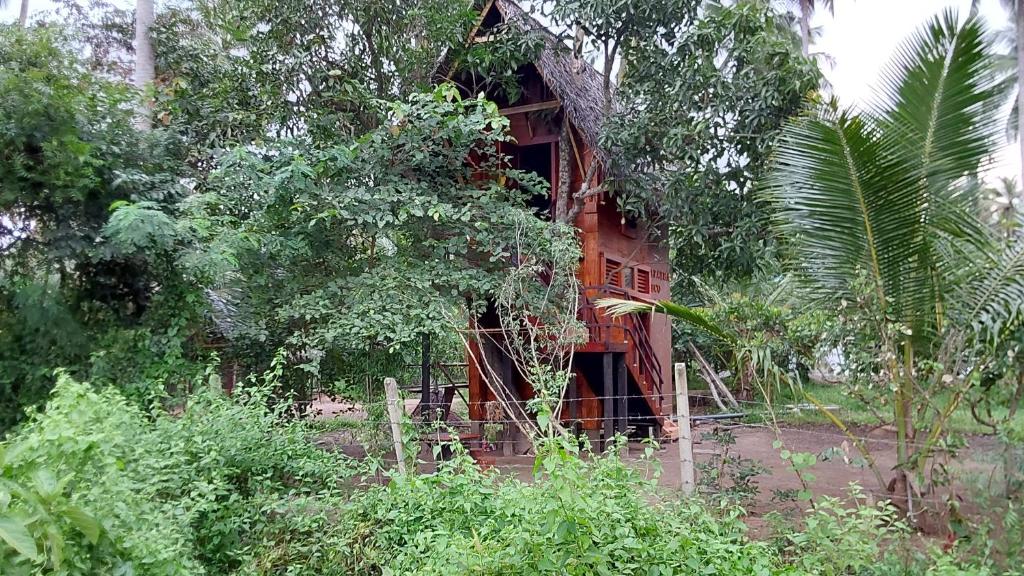 Zahrada ubytování ULPATHA ECO LODGE