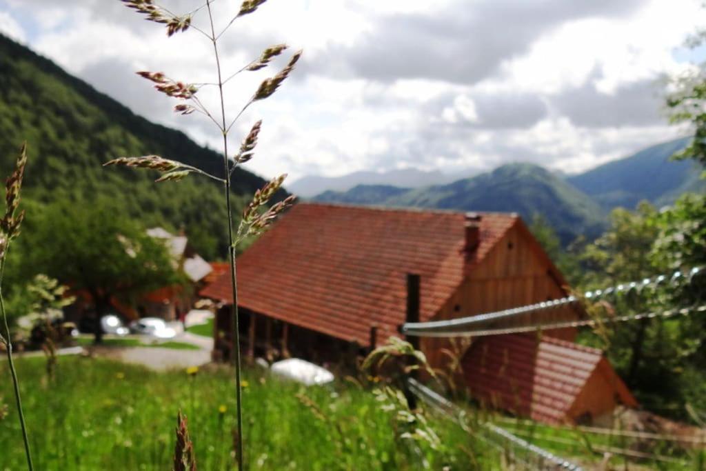 Příroda nedaleko apartmánu