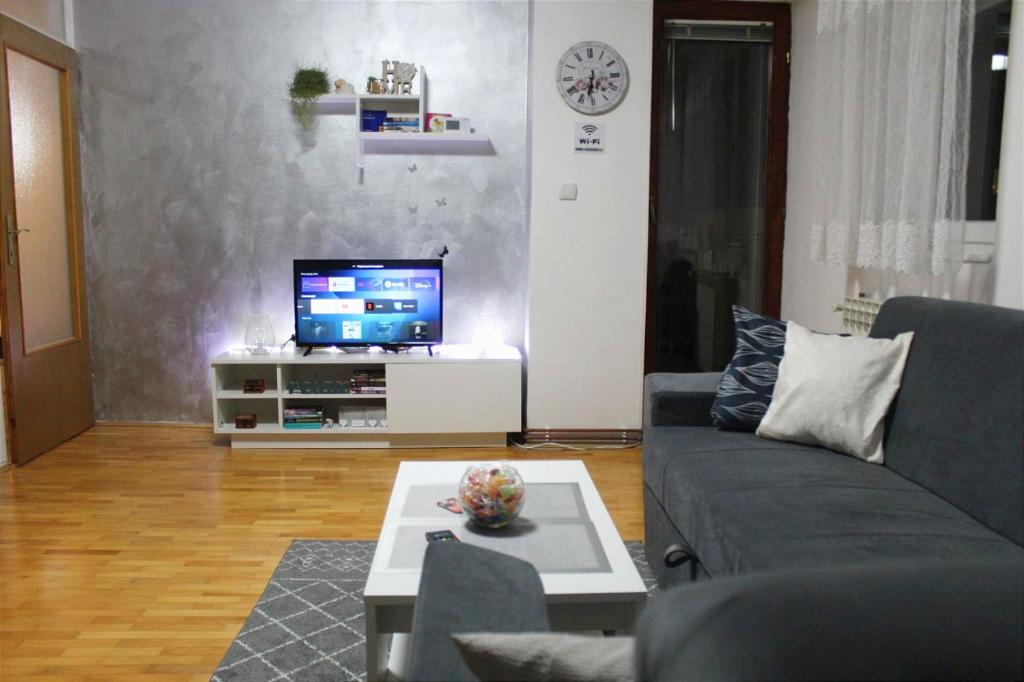 TV a/nebo společenská místnost v ubytování Apartman 19