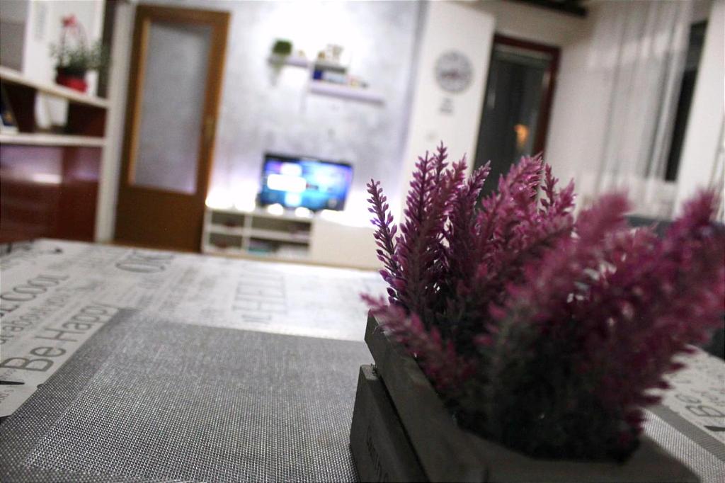 TV a/nebo společenská místnost v ubytování Apartman 19