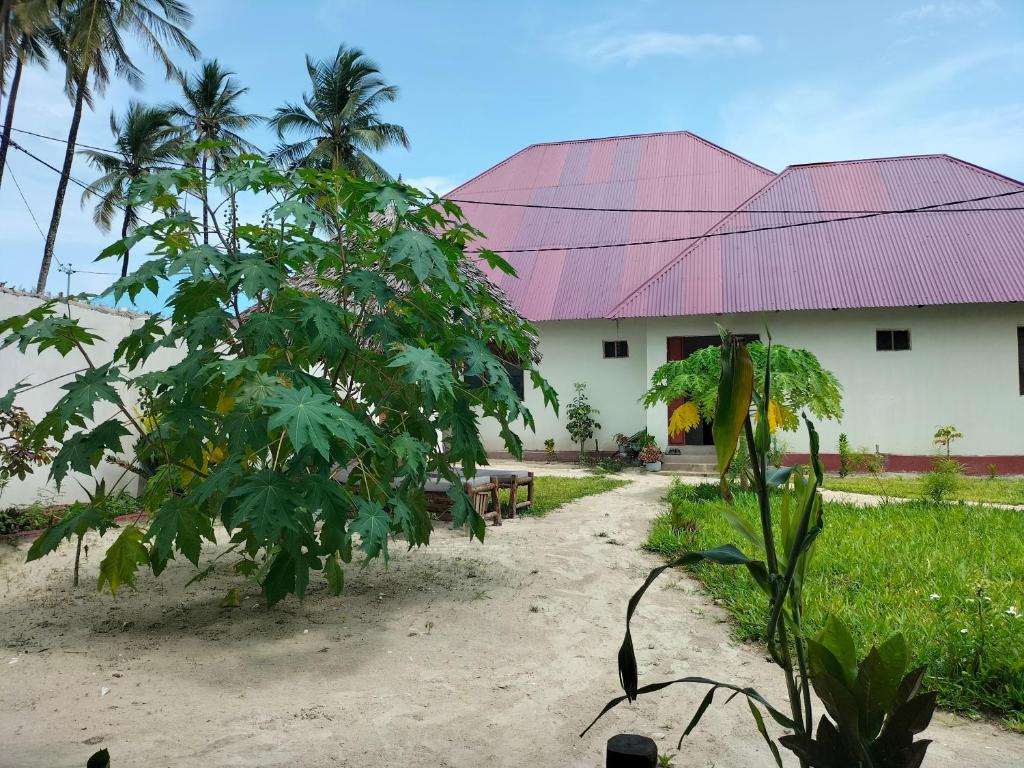 Zahrada ubytování Mambo Leo Hostel