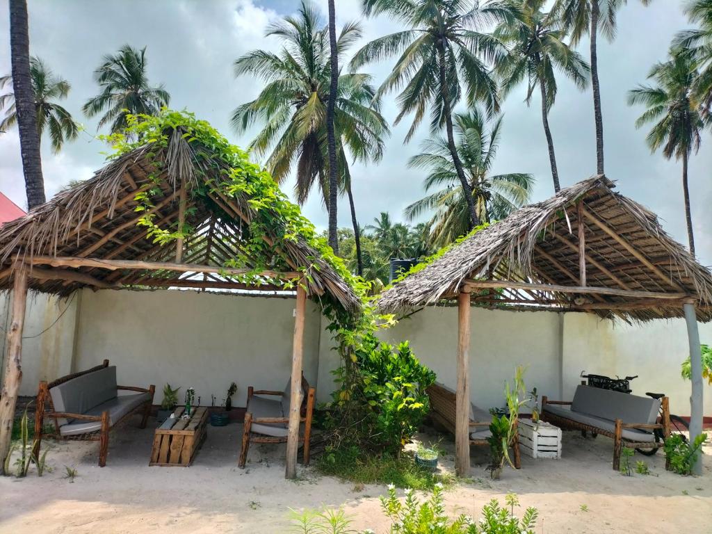 Zahrada ubytování Mambo Leo Hostel
