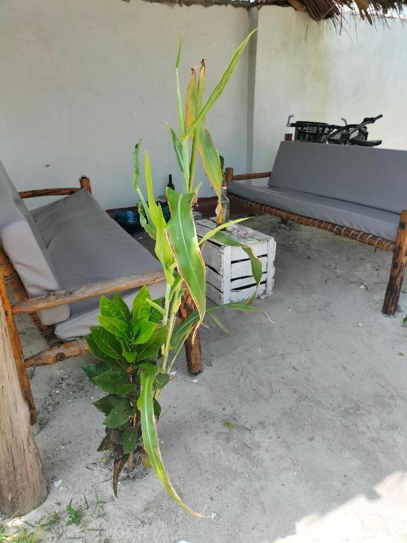 Posezení v ubytování Mambo Leo Hostel