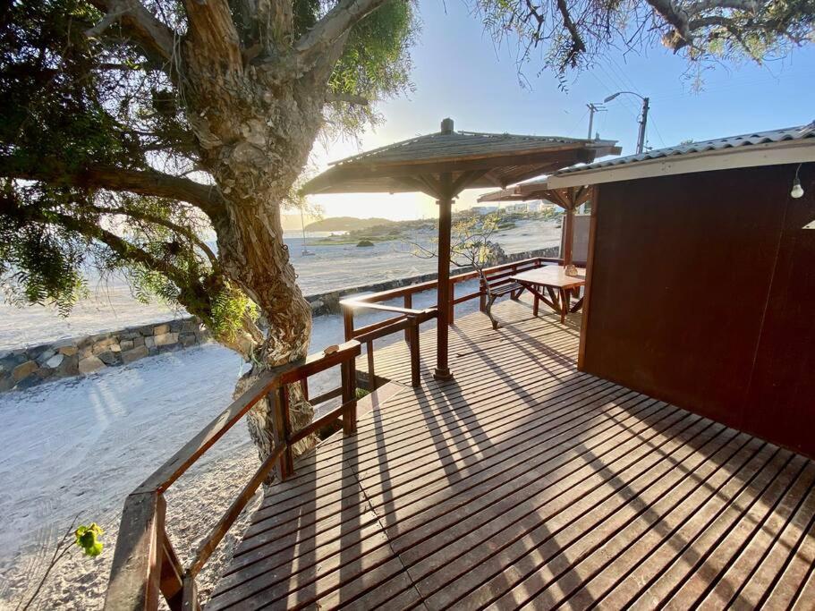 a wooden deck with a tree and an umbrella at Bahia Inglesa cabaña frente al mar WI-Fi satéliteTv agua caliente in Bahia Inglesa