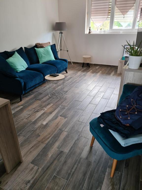 een woonkamer met een blauwe bank en houten vloeren bij Chambre chez l'habitant in Saint-Étienne