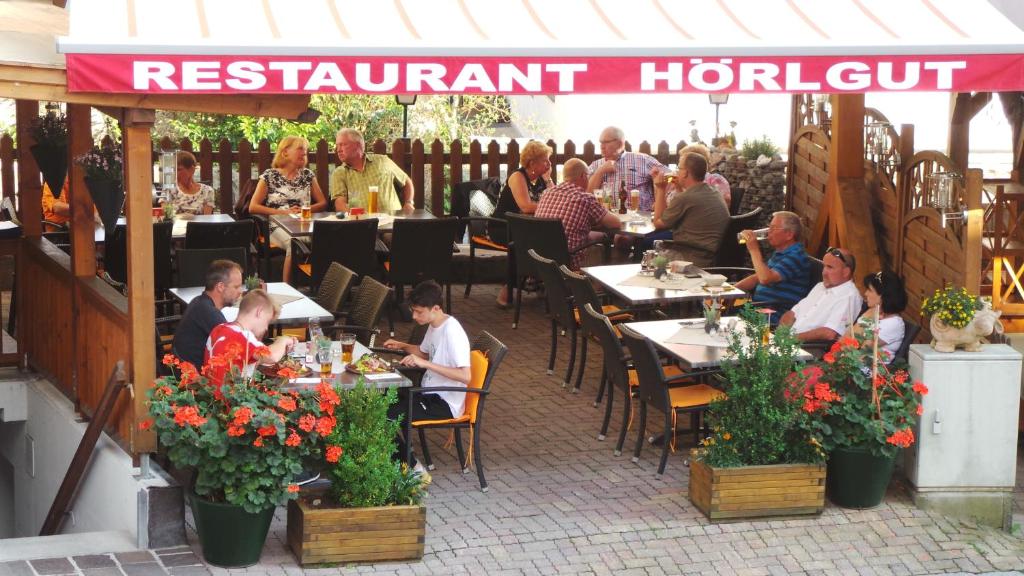 Hosté ubytování Hotel Hörlgut