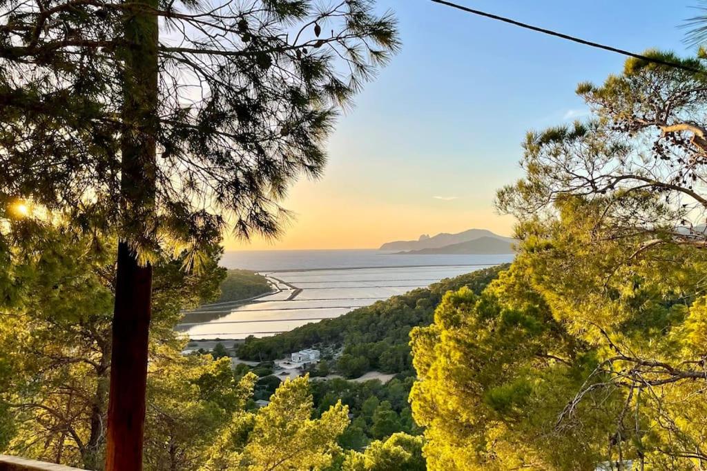 a view of the ocean from a hill with trees at Apartamento en Salinas in Ses Salines