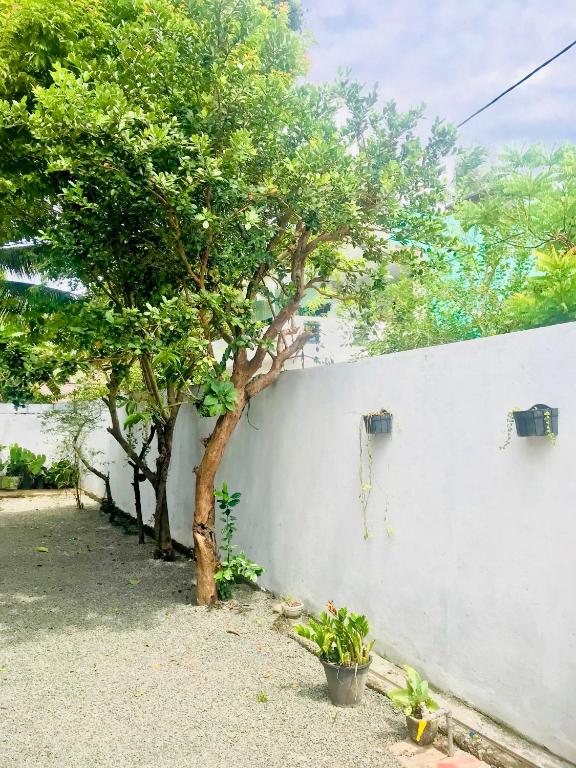 Zahrada ubytování Lora Homestay