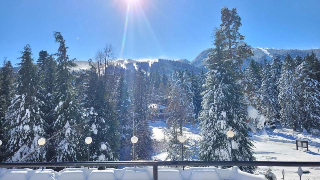 vistas a un bosque nevado con árboles en Hotel Bor en Borovets