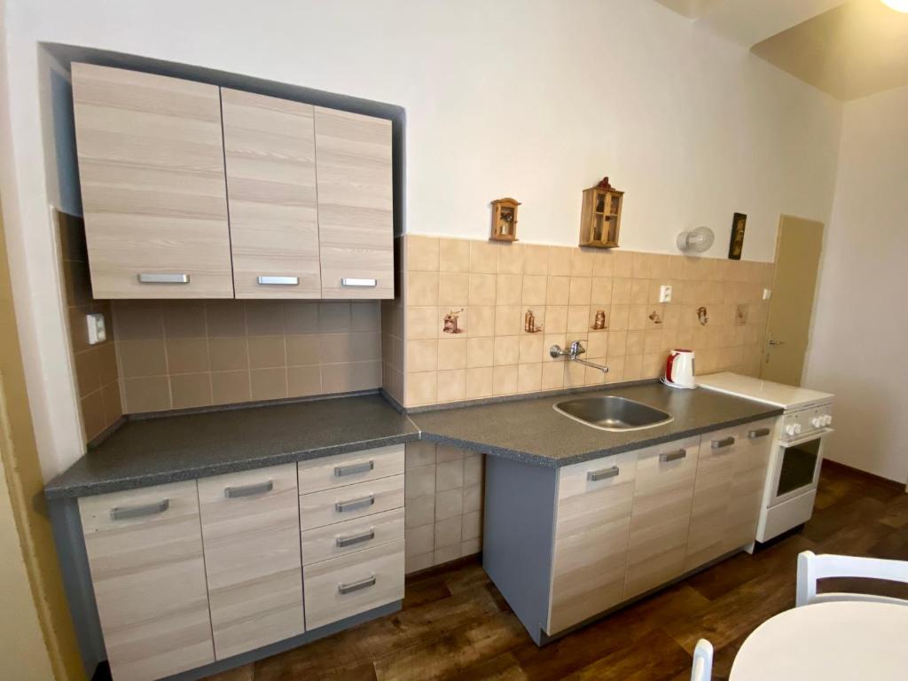 eine kleine Küche mit einer Spüle und einer Theke in der Unterkunft Apartma 299 in Rokytnice nad Jizerou