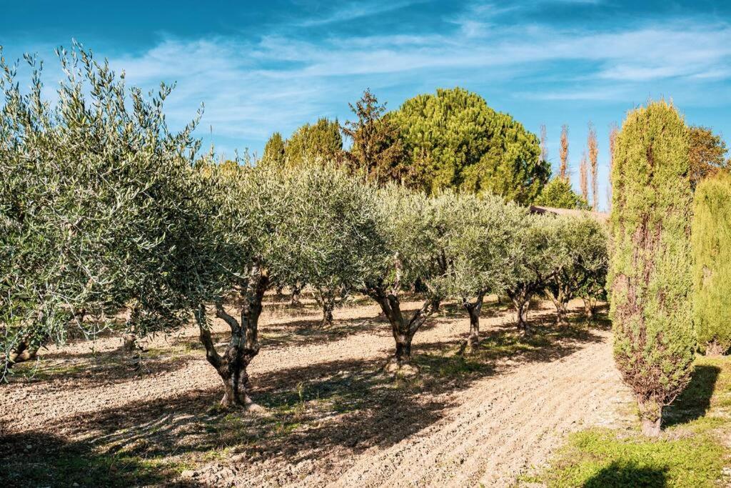 Zahrada ubytování VILLA DE LA ROQUE