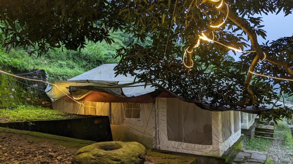 a tent in a field under a tree at Pinwheel Retreat in Lansdowne