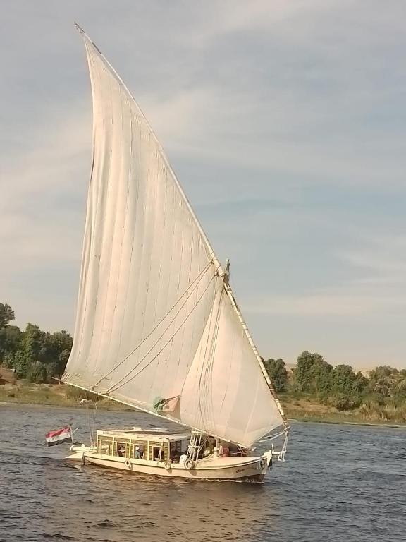 Příroda nedaleko ubytování na lodi
